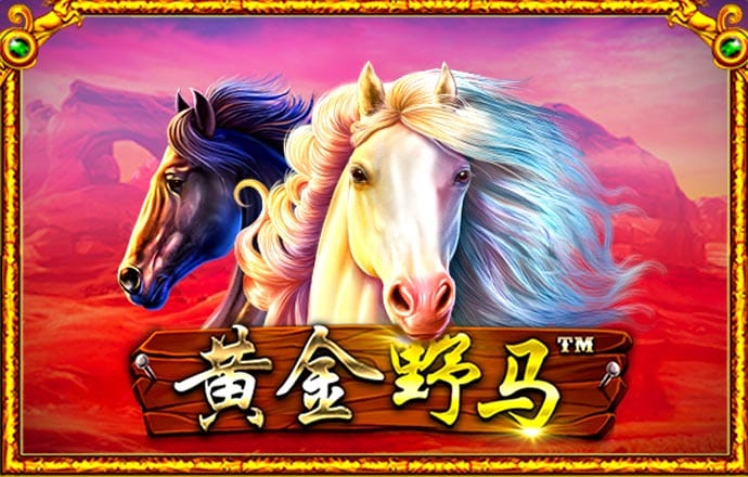 金年会体育官网下载